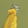 chirrup